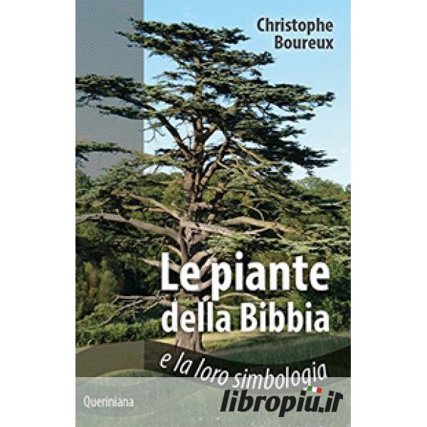 Piante Della Bibbia E La Loro Simbologia